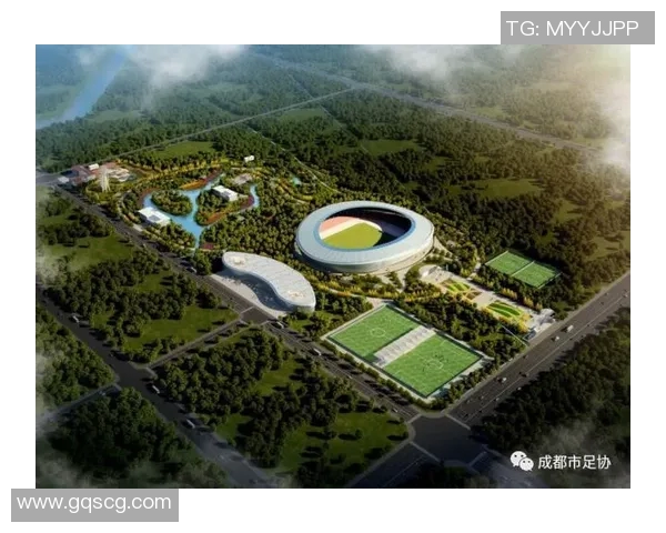 广州专业足球场建设进展与未来发展展望分析报告