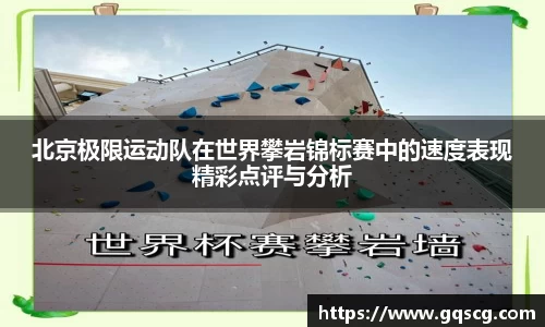 三亿体育APP